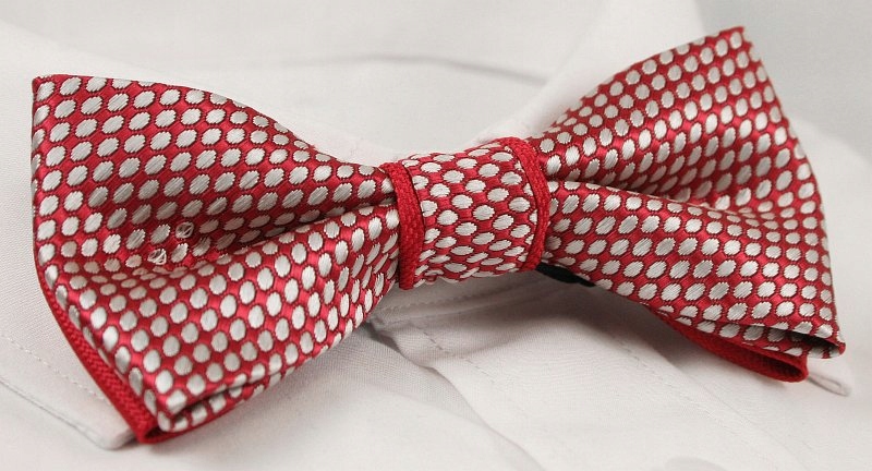 Czerwono-Biała Mucha + Biała Poszetka-Chattier Marka inna