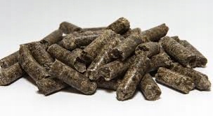 WYSŁODKI BURACZANE NIEMELASOWANE PROMOCJA