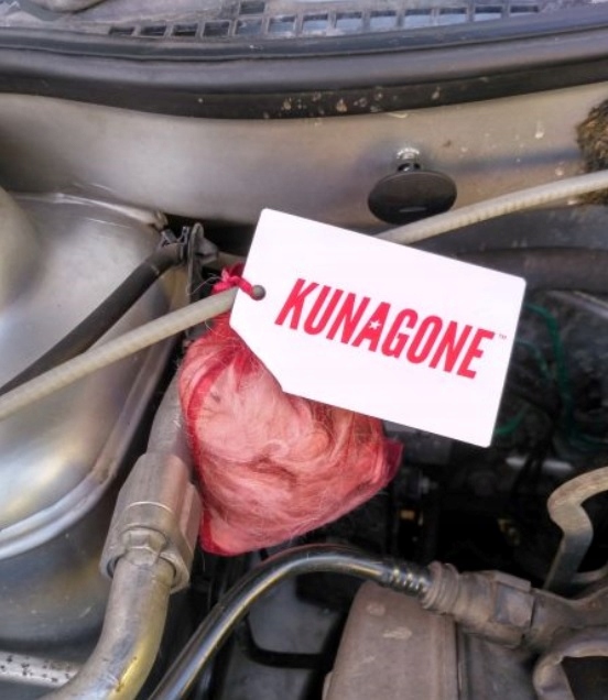 KUNAGONE ODSTRASZACZ NA KUNY SAMOCHÓD DOM 6 SZT Producent inny