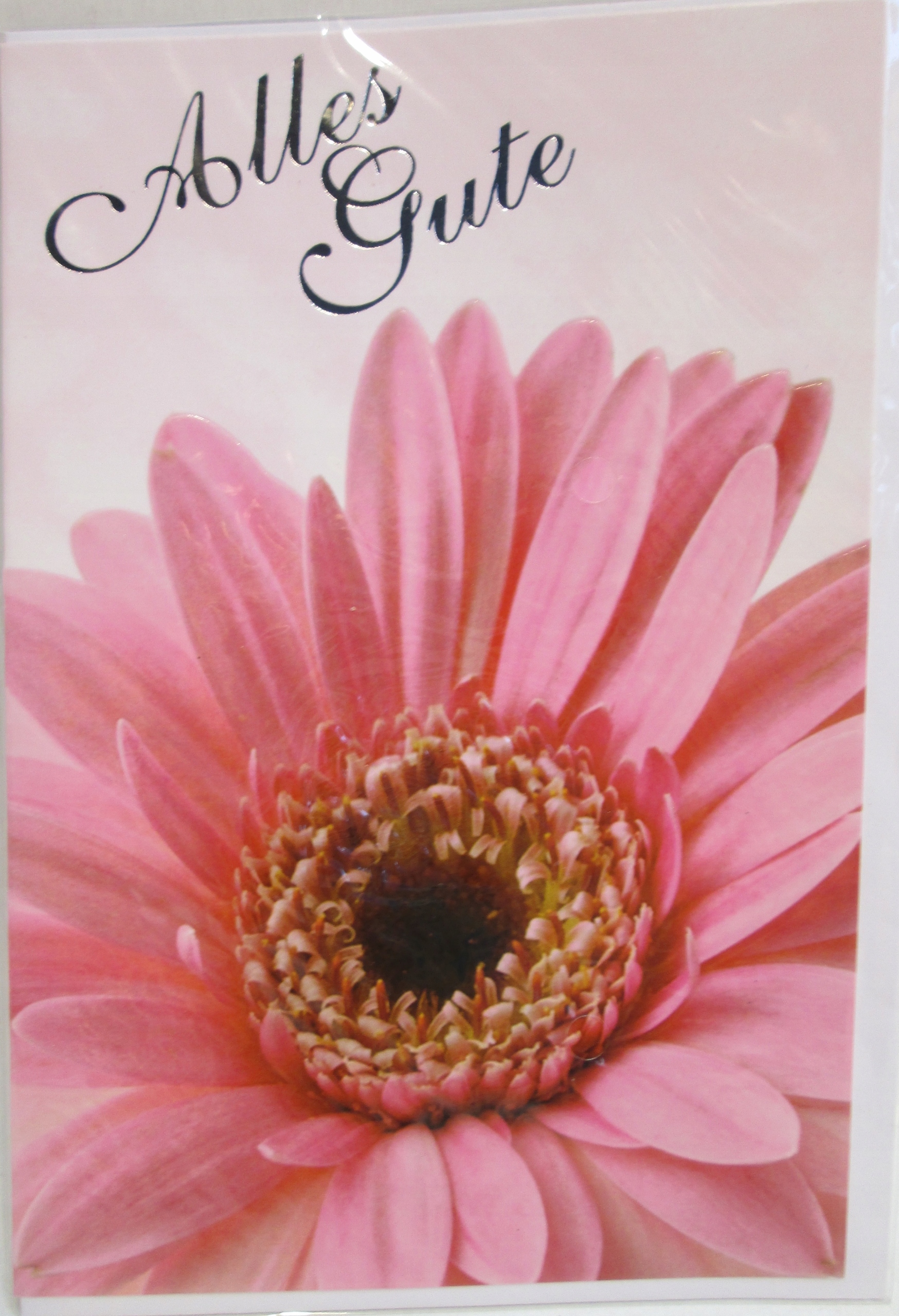 

Alles Gute Gerbera Kartka Z Życzeniami Koperta