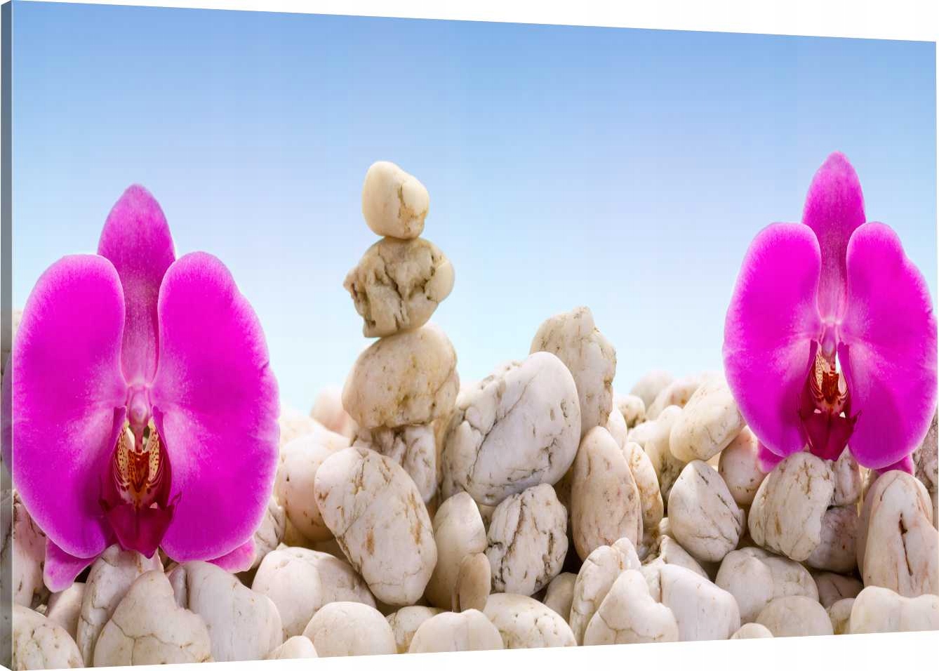 

Obraz Na Płótnie Storczyki Kamienie 120X80 800 Wz