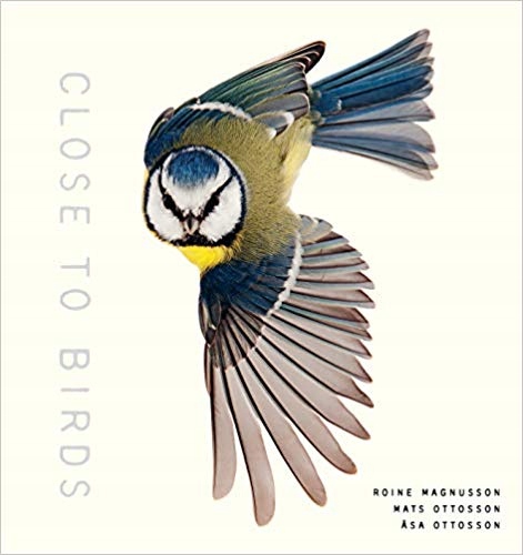 Close to Birds Mats Ottosson