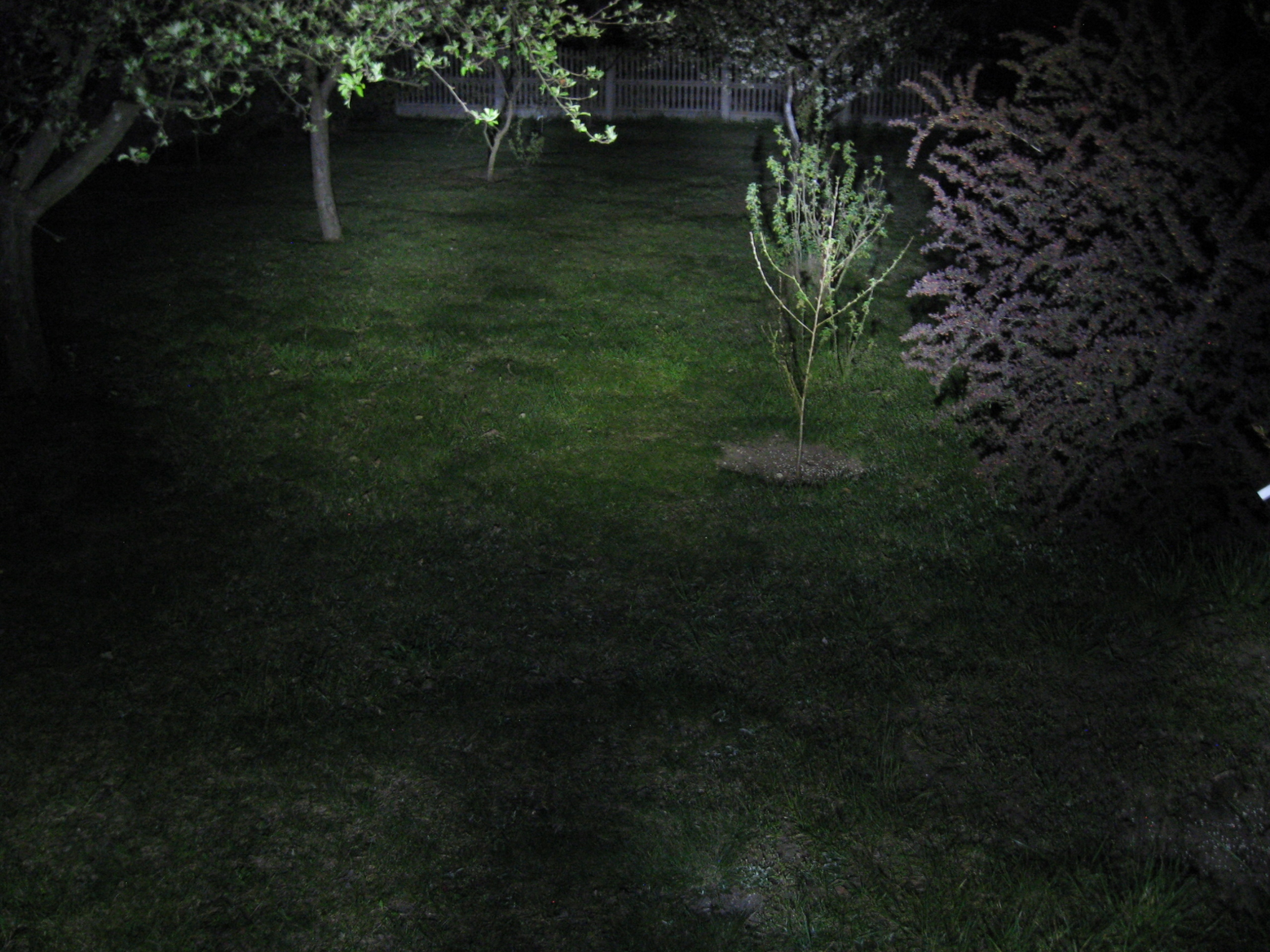 Zarowka LED ciepla P42D 6V M72 K750 Dniepr Iz Ural Type Other