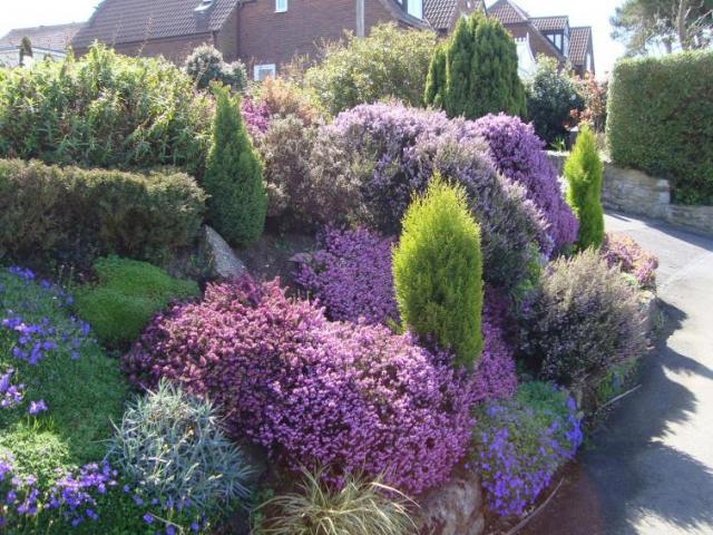 Mikoryza do BORÓWEK, JAGÓD i Wrzosowatych 250ml Kod producenta Mikoryza do borówek i wrzosowatych