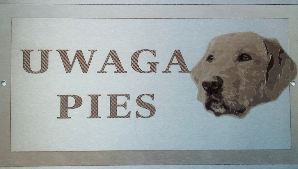 Tabliczka INOX - UWAGA PIES - LABRADOR RETRIEVER Marka Axis