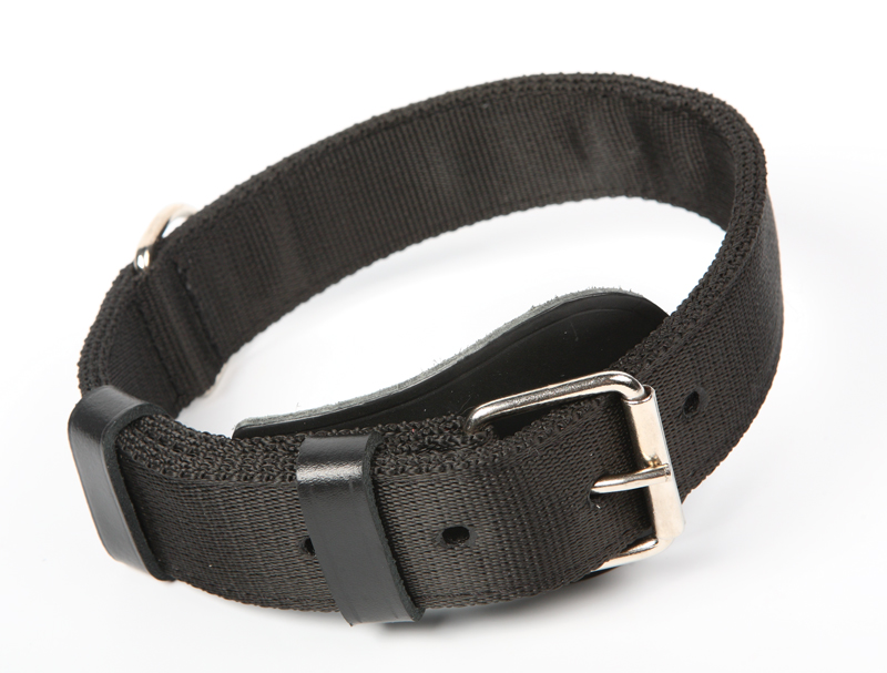 Látkový obojek pro psa Dingo vel. XL