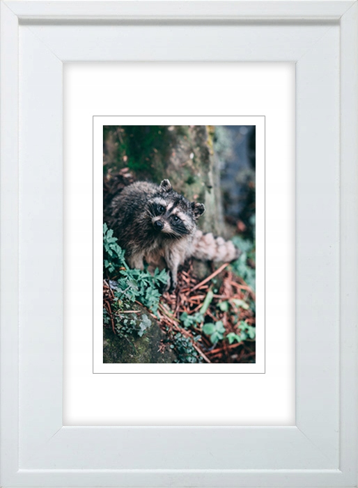 

Ramka Na Zdjęcia Biała Rama 28x35 CM