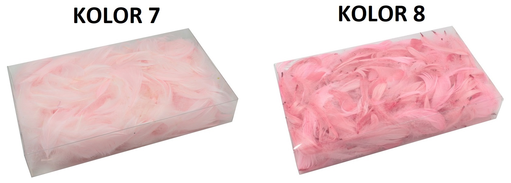 PIÓRA 50 GRAM PIÓRKA DEKORACYJNE 23 KOLORY 300 SZT Rodzaj piórka