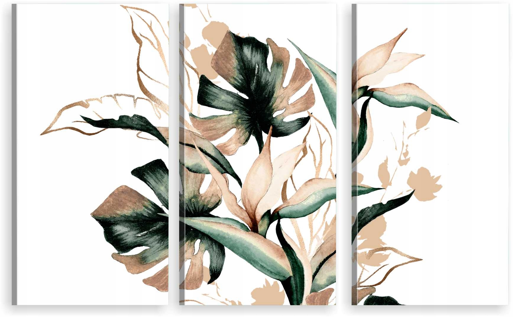 

Tryptyk Obraz Na Ścianę Elegancka Monstera 980 Wz