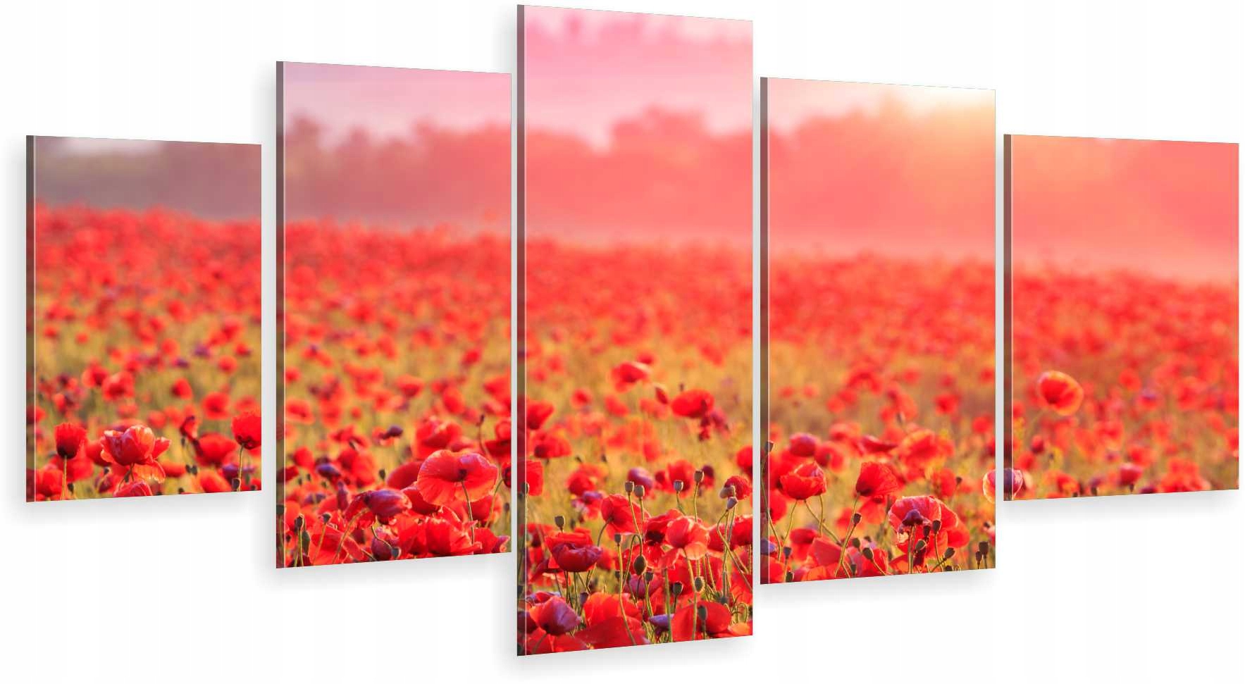 

Tryptyk 5-CZĘŚCI Na Ścianę Polne Maki 800 Wzorów