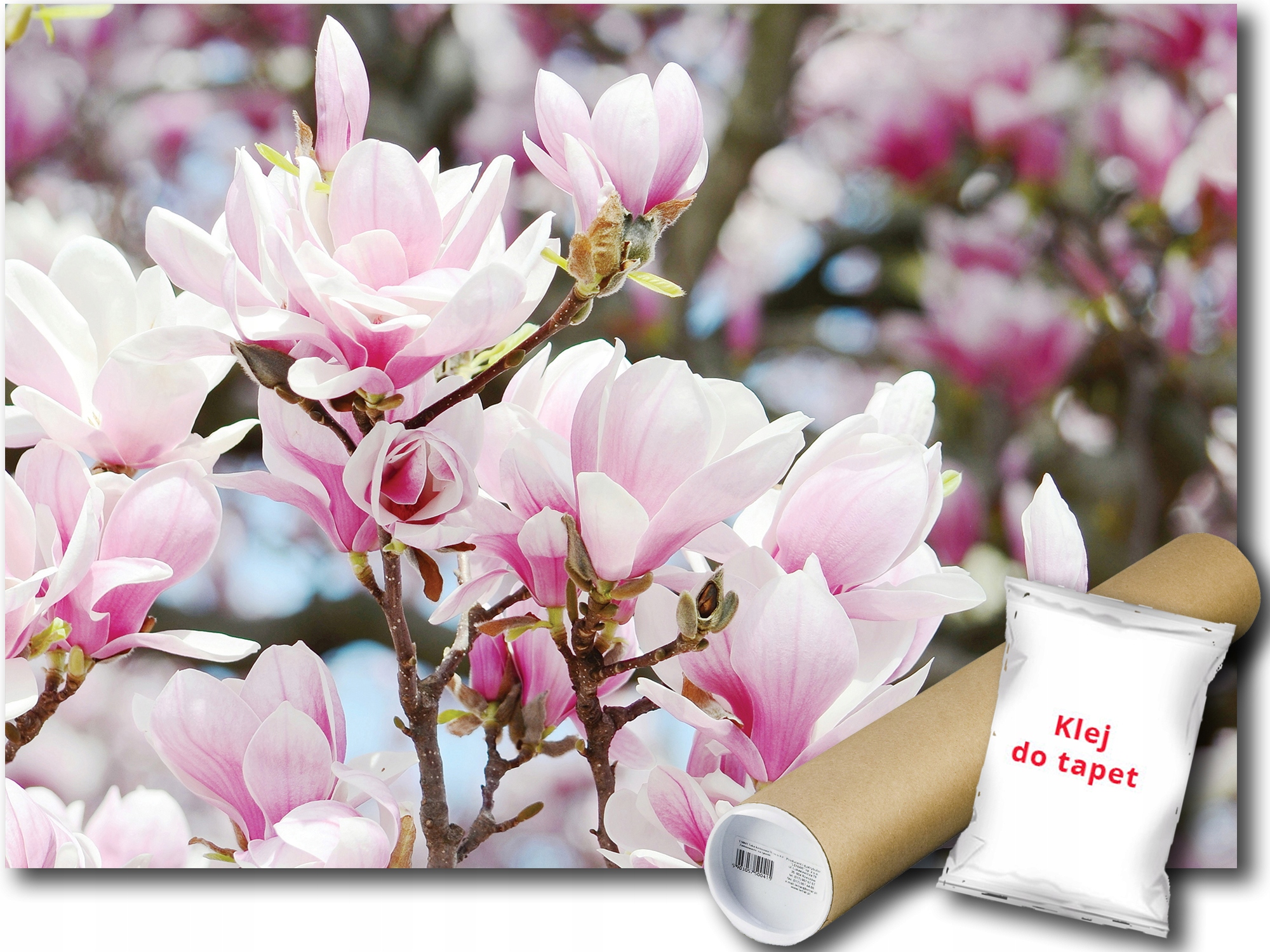 Fototapeta Magnolie Keř 9E Fxl 208x146 F3400