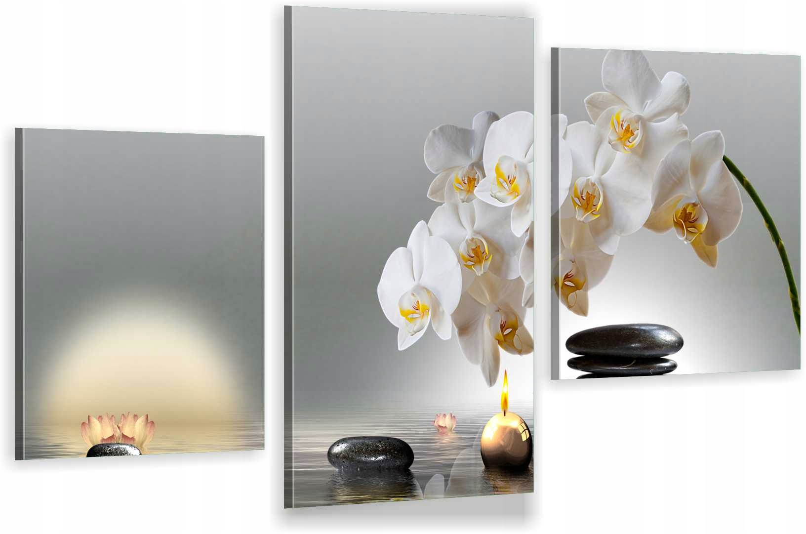 

Tryptyki Obraz Na Ścianę Spa Orchidea 800 Wzorów