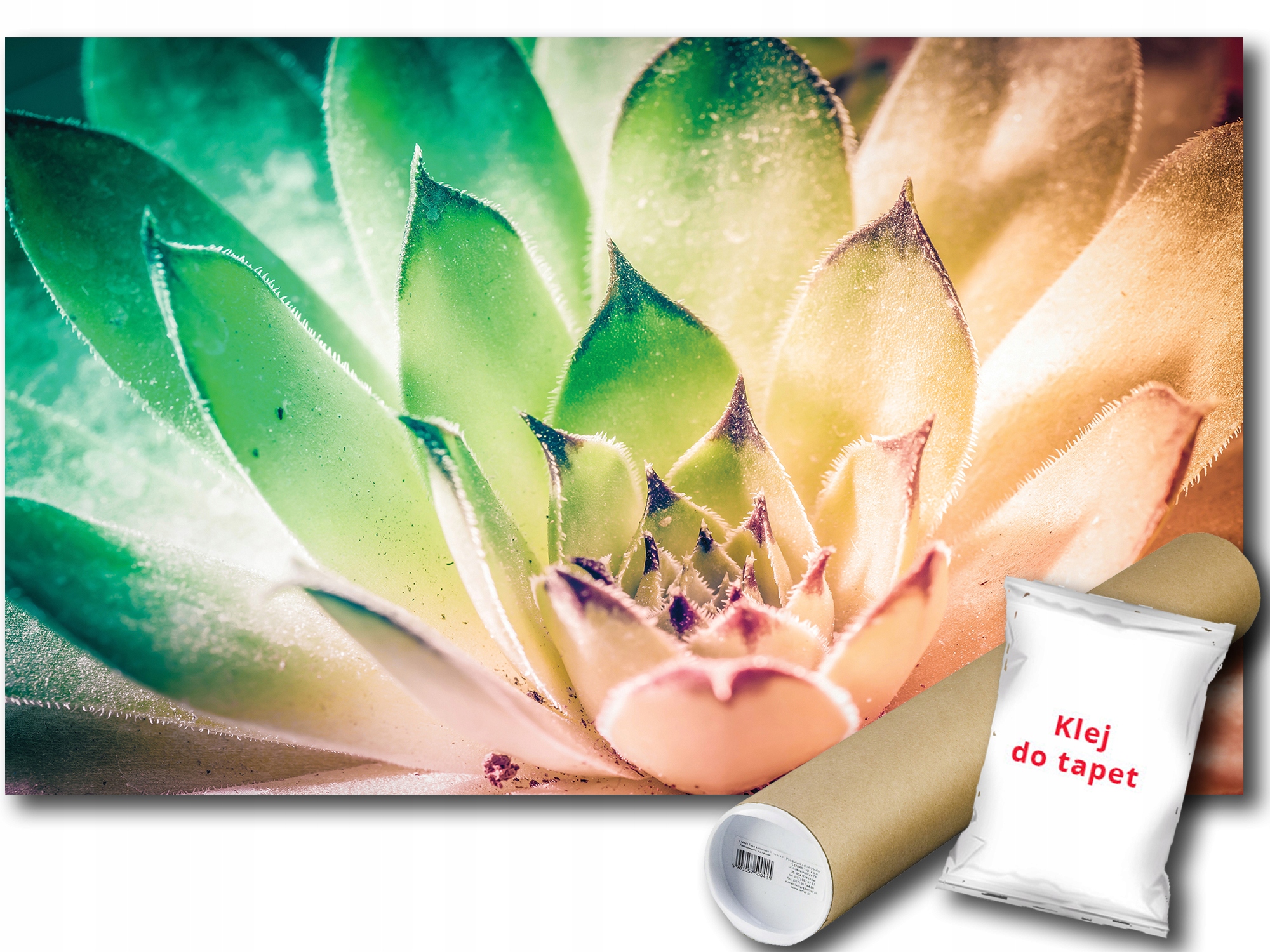 Fototapeta Exotický Květ 9E Fxl 208x146 F3117