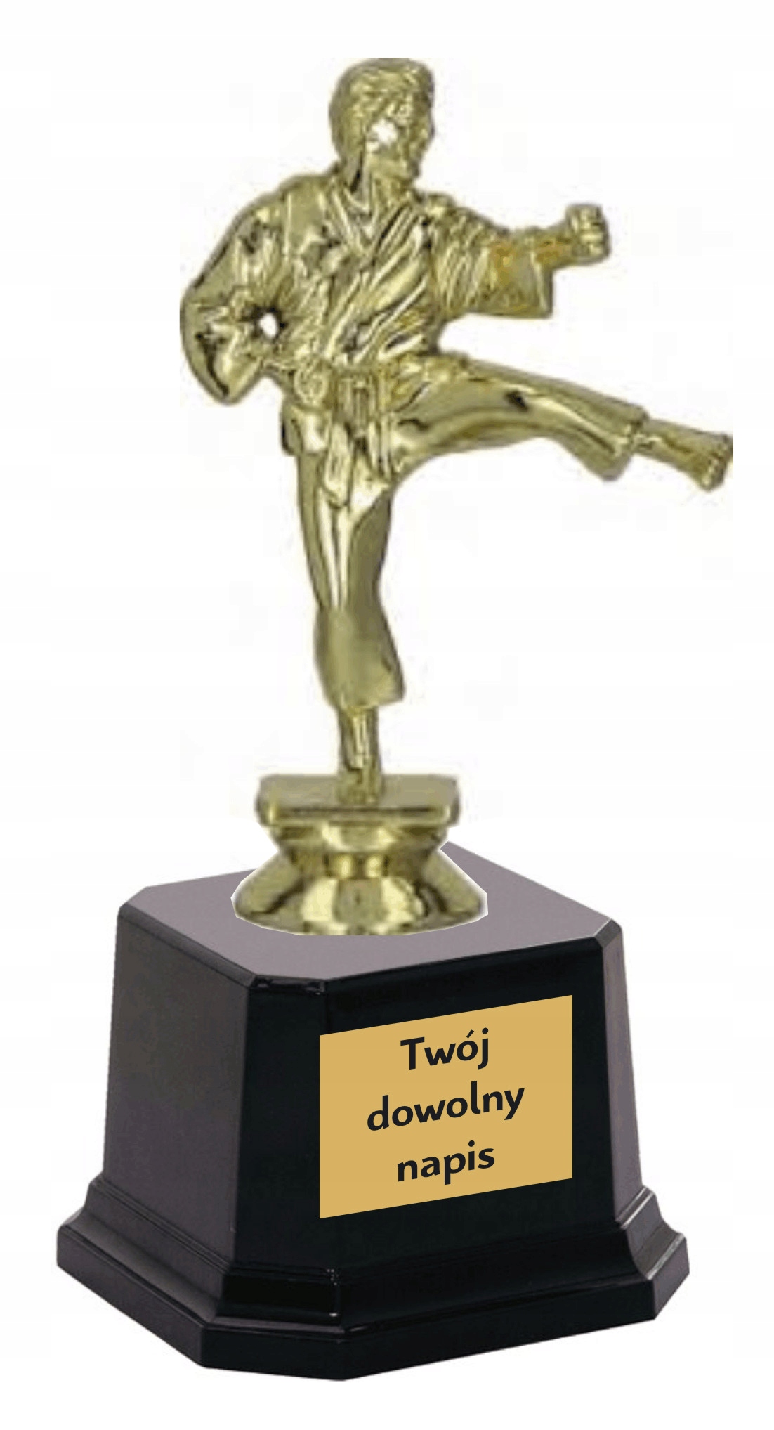 

Statuetka Figurka Karate Puchar 17,5 cm Grawer