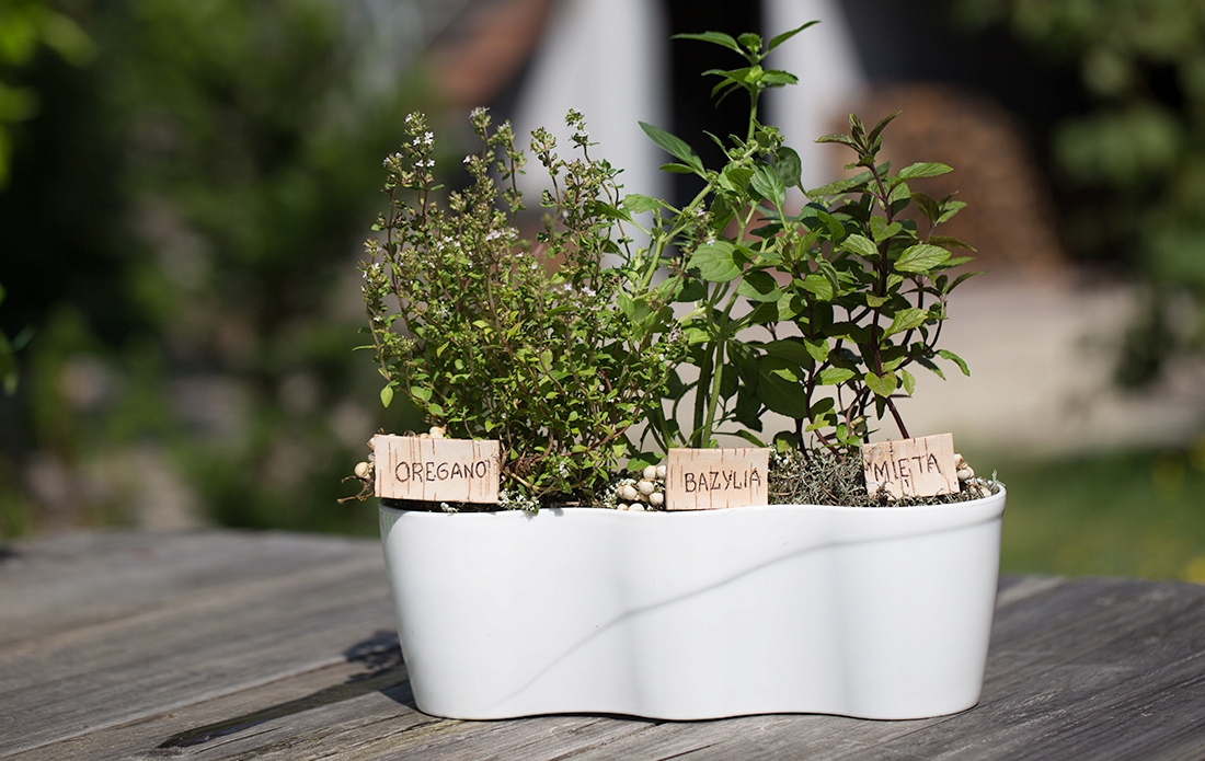 DONICZKA NA ZIOŁA osłonka pojemnik 3w1 Maks. szerokość 9.5 cm