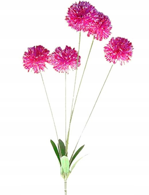 

Allium Czosnek W Bukiecie 5gałązek 72cm