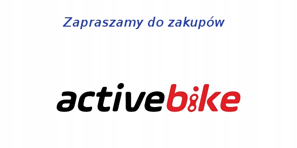 ROWER MARIN SAN RAFAEL DS2 L 20" SZARY 2023 Marka Marin