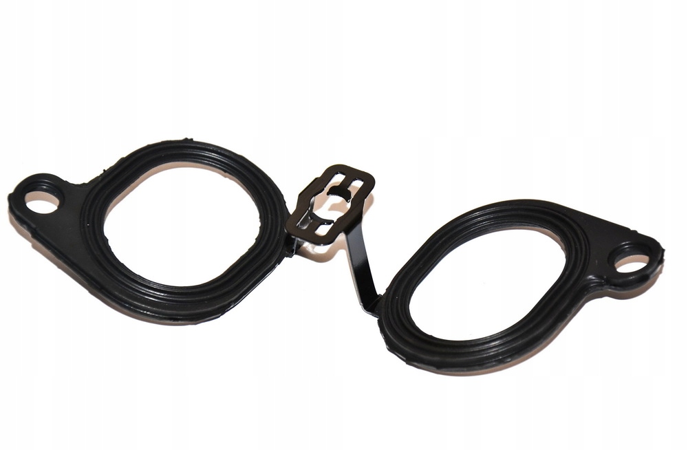 Těsnění sacího potrubí Bmw E65 E66 760i 760iL