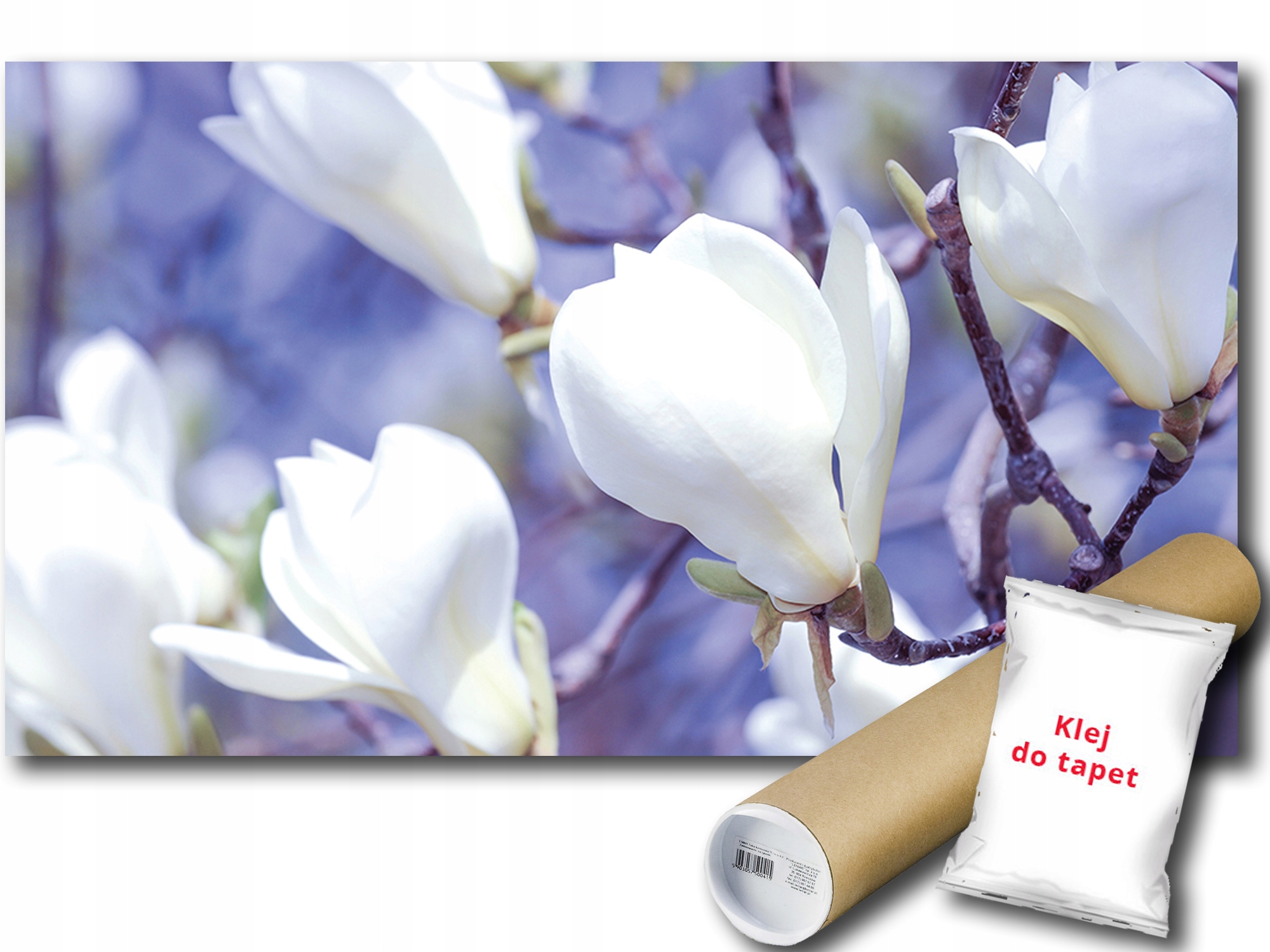 Fototapeta Květy Magnólie 9E V4 254x184 F1620