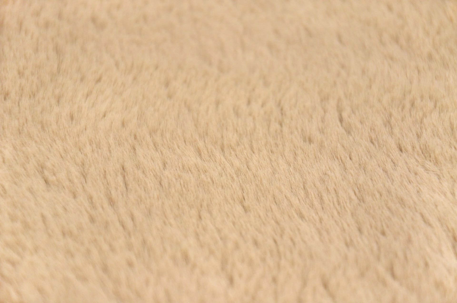 Dywan Bellarosa Rabbit królik beż 80x150cm Płeć Chłopcy Dziewczynki