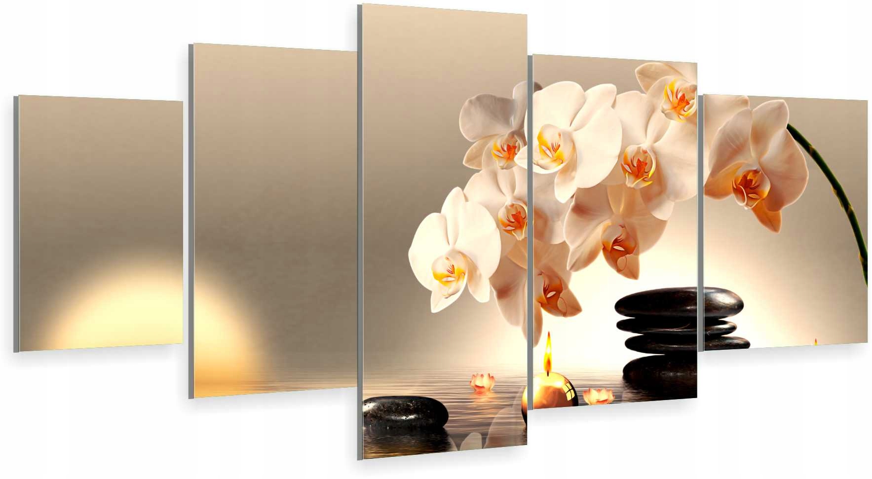 

Tryptyk 5-CZĘŚCI Na Ścianę Biała Orchidea 800 Wz
