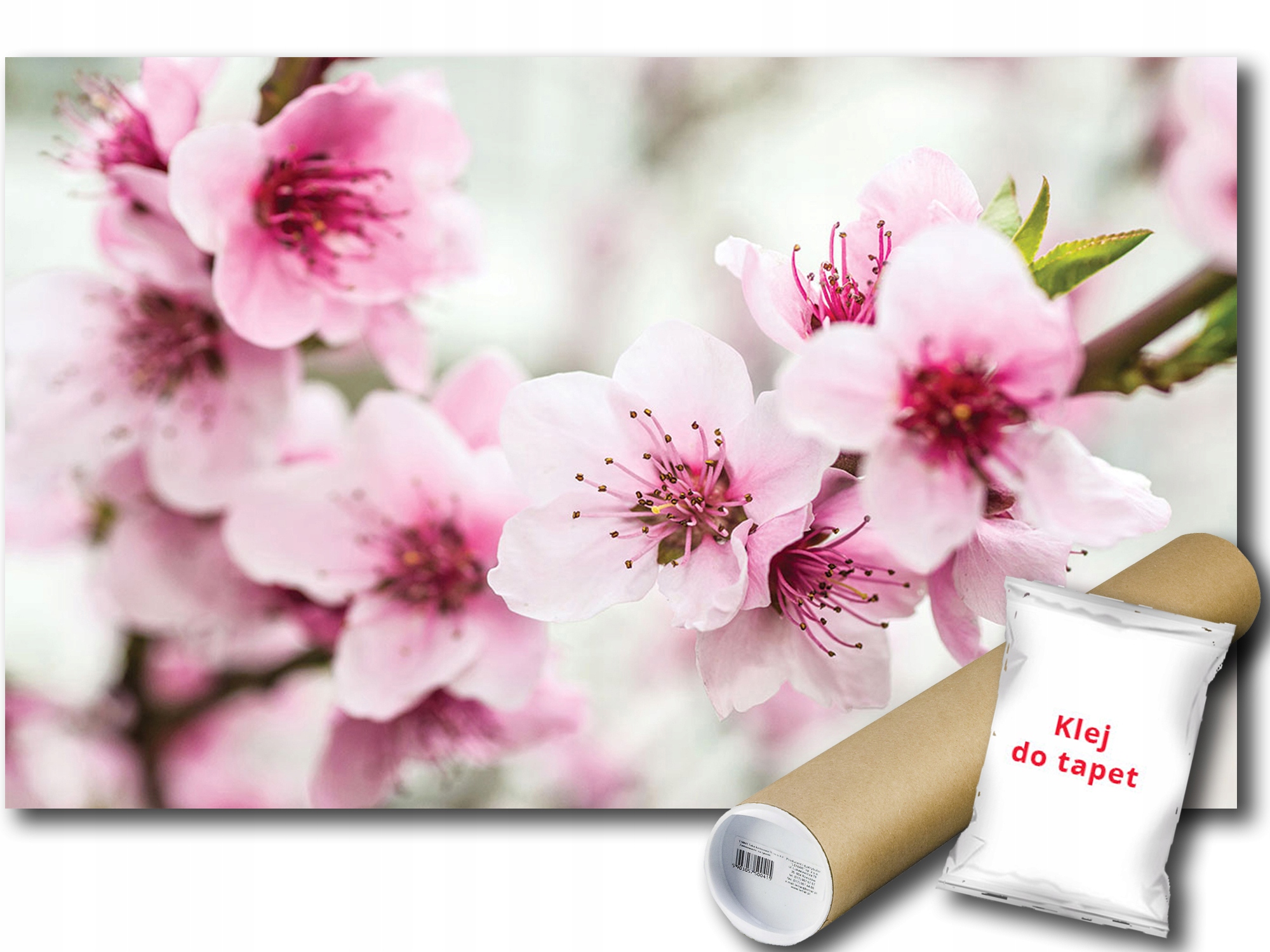 Fototapeta Kvety Jablone 9E F3XL 416x254 F1168