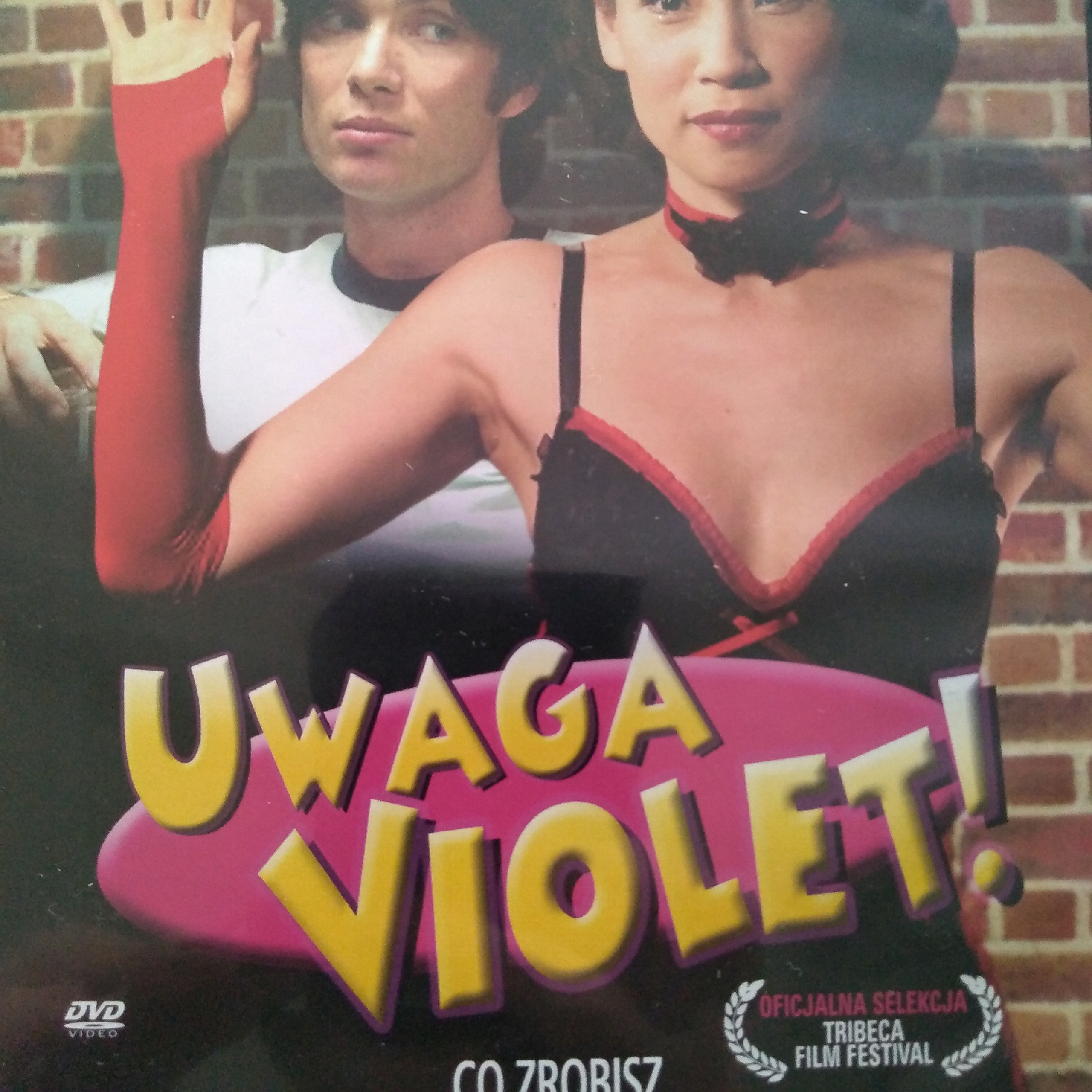 THEGROOVERS【DVD】 GANG ZWIERZAKÓW płyta DVD • Cena, Opinie - Allegro