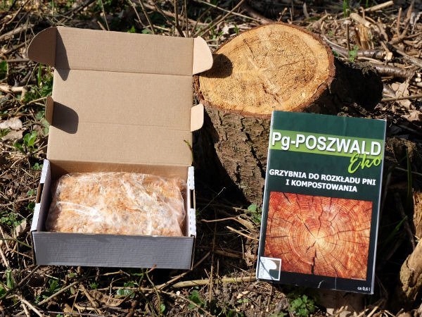 Pg Poszwald Eko Grzybnia do rozkładu pni drzew Producent inna
