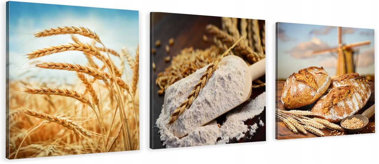 

Obrazy Tryptyk Canvas Do Kuchni Zboże Natura Chleb