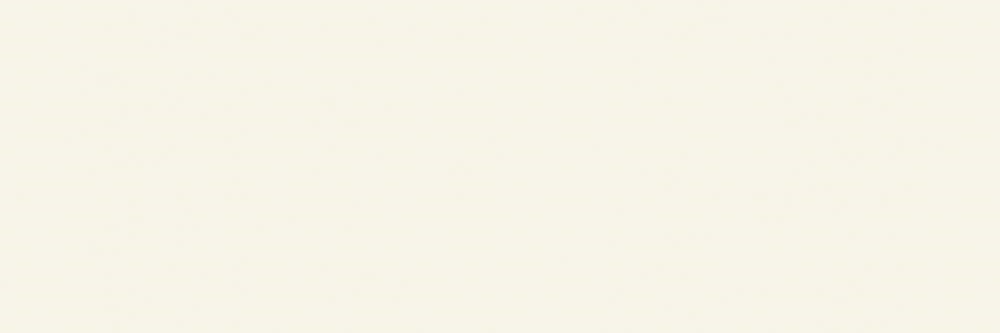 Spiek kwarcowy na siatce 100x300 120x260 cienkie Typ inny