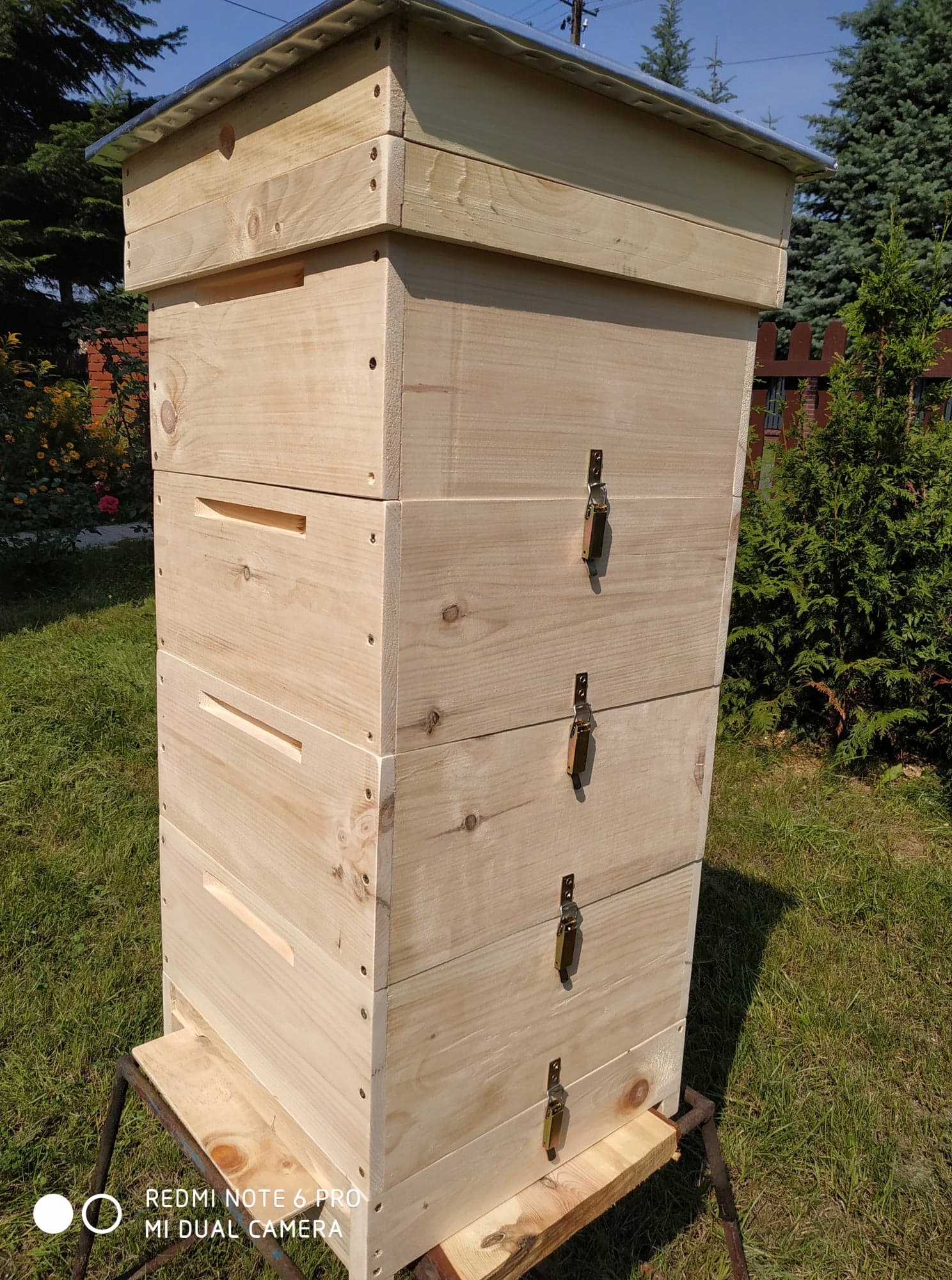 

Ul wielkopolski kompletny zest 18cm Sosna Wejmutka