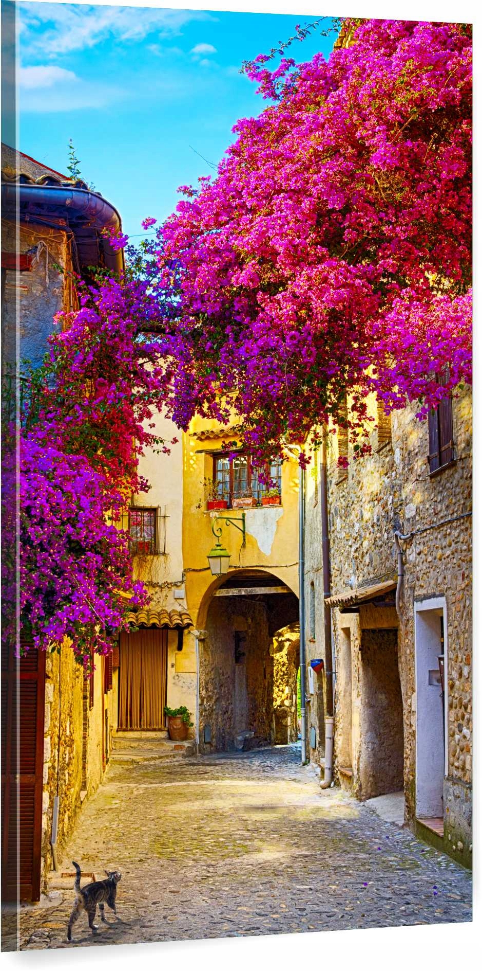 

Obraz panorama do salonu uliczka kwiaty 60x120 Hit