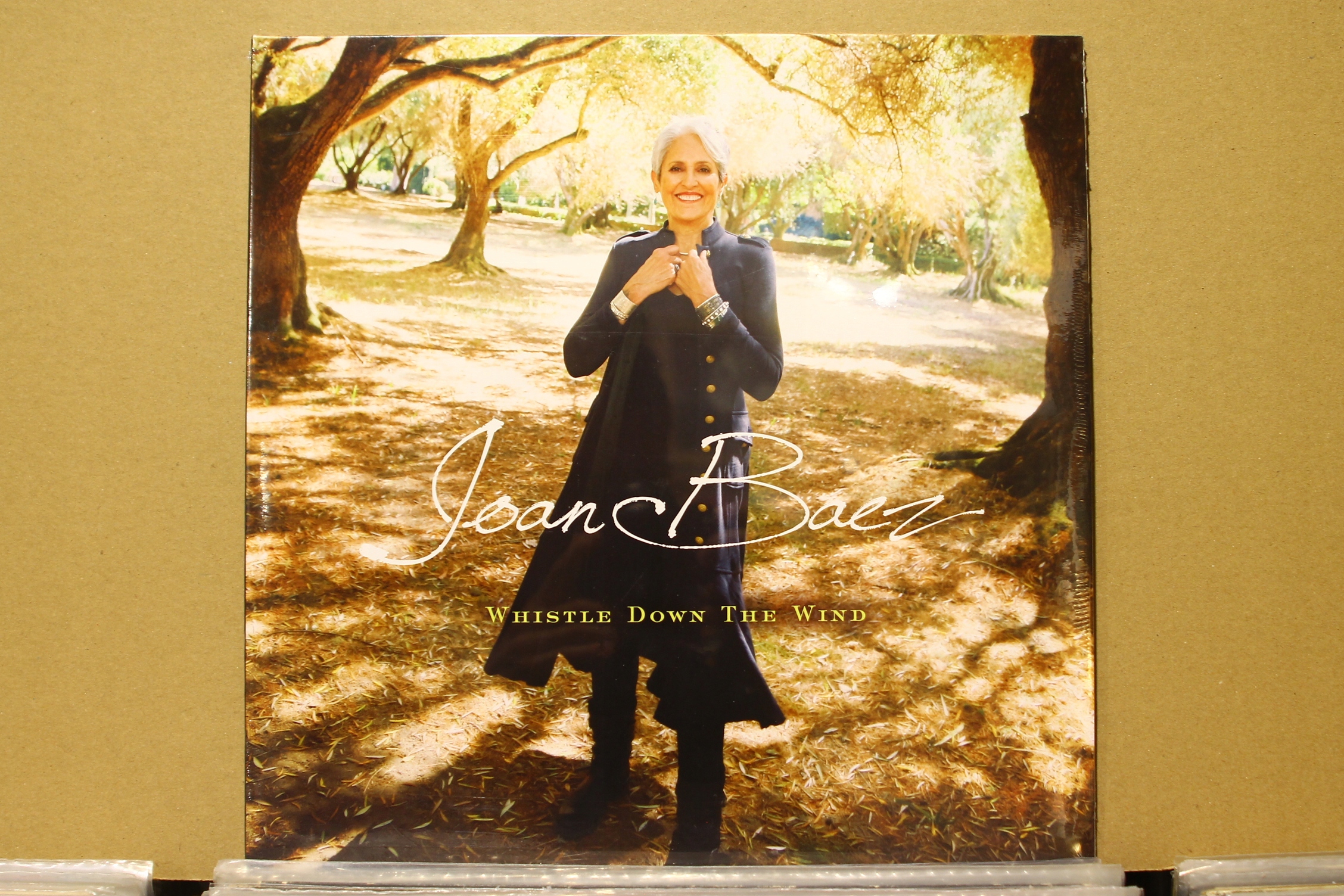 JOAN BAEZ WHISTLE DOWN THE WIND 13582025477 Sklepy, Opinie, Ceny w
