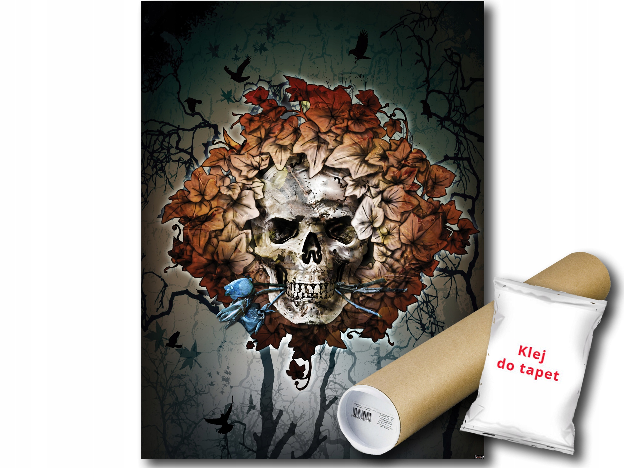 

Fototapeta Alchemy Czaszka 21A Panxl 206x275 F2368