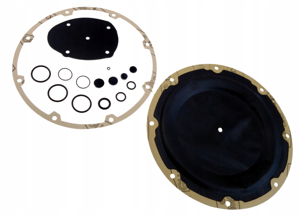 Zestaw naprawczy LANDI RENZO SE81 SE 81 Komplet