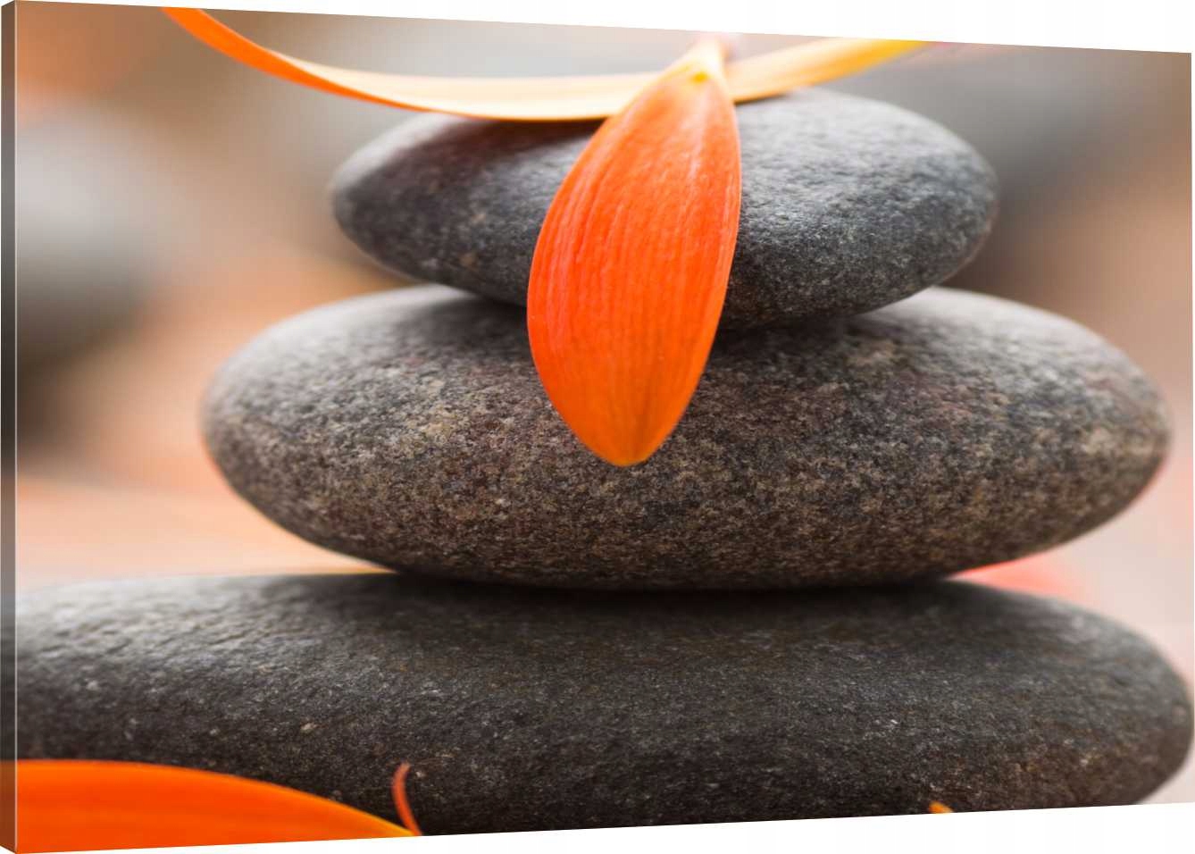 

Obraz Na Płótnie Płatki Kwiatów Zen 100x70 800 Wz