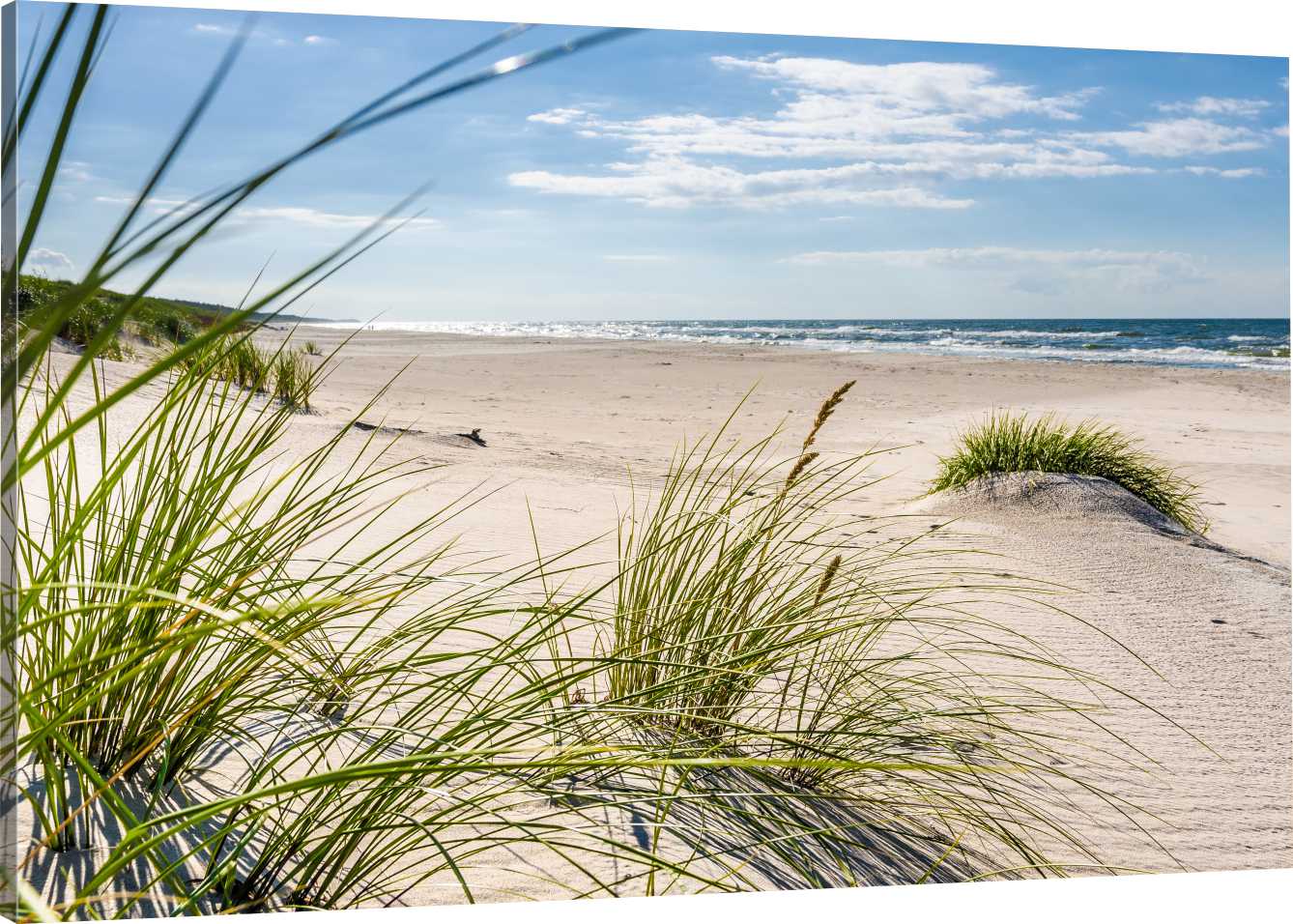 OBRAZ NA PŁÓTNIE WYDMY BAŁTYK PLAŻA 100x70 980 WZ