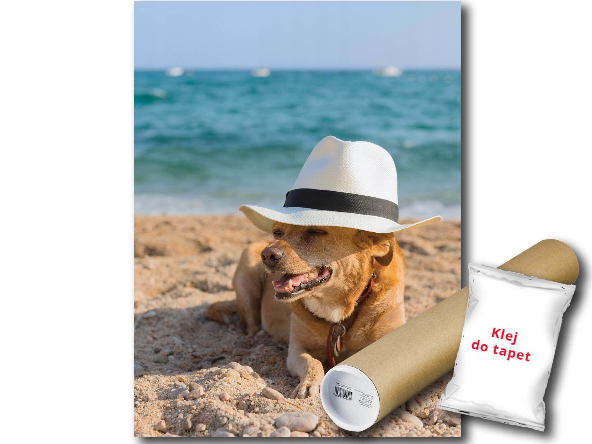 Fototapeta Pes Pláž 12D Panxl 206x275 F10399