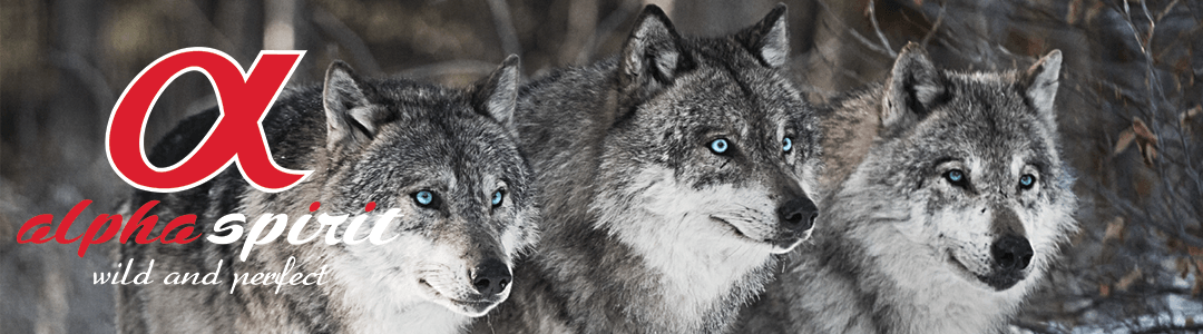 ALPHA SPIRIT paluszki z PROSCIUTTO blister 16szt Kod producenta 20062907