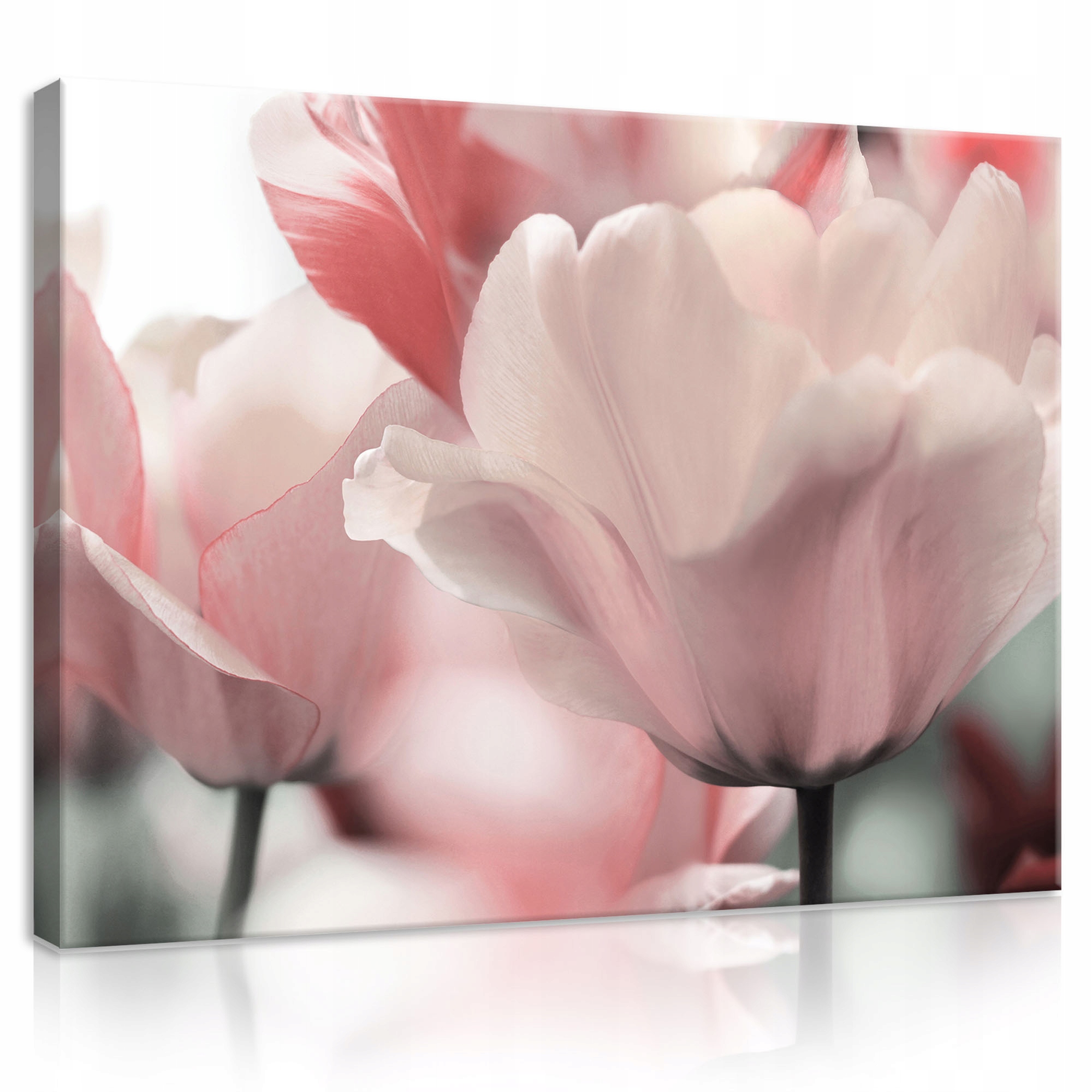 

Obraz do sypialni kwiaty duży foto-obraz 3D 100x70