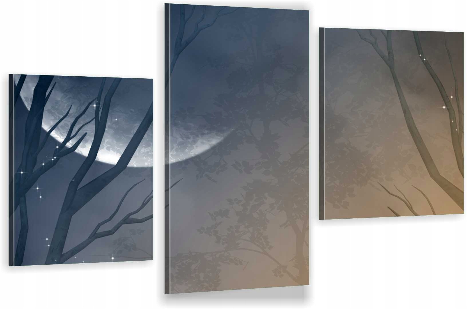 

Tryptyki Obraz Na Ścianę Do Sypialni Księżyc 800WZ