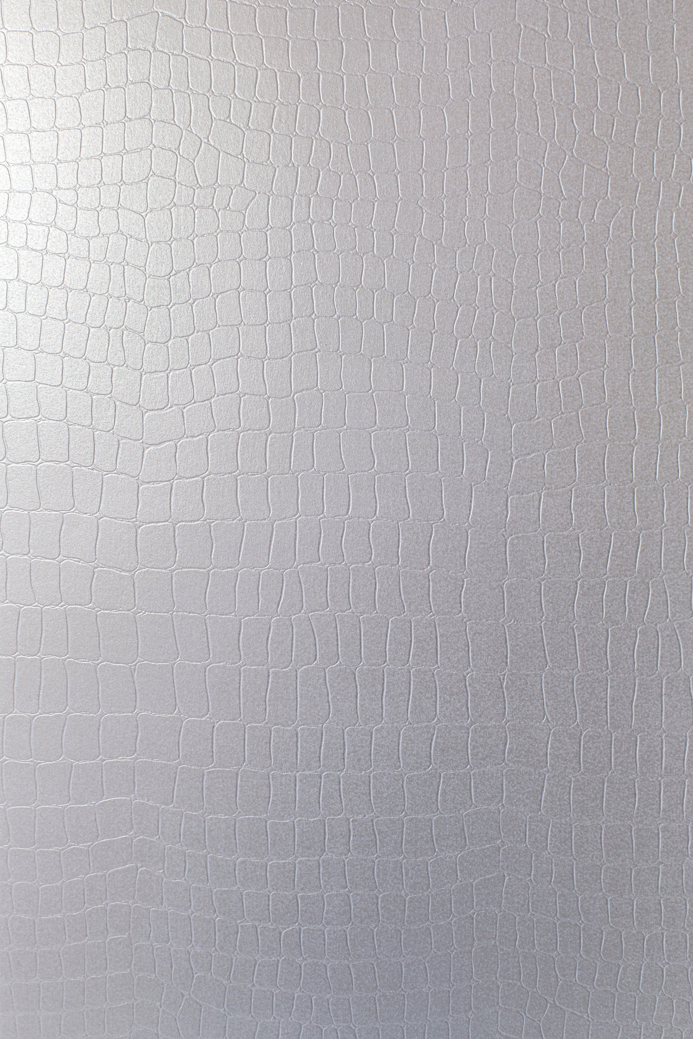 Papier ozdobny srebro 215g Constellation Armadillo