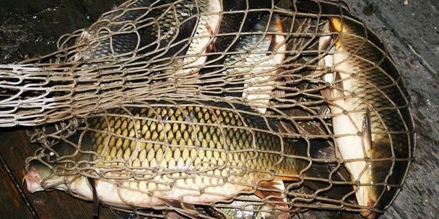 KUKURYDZA CUKK bez zalewy 125 gr RUM & ŚLIWKA Smak śliwka rum