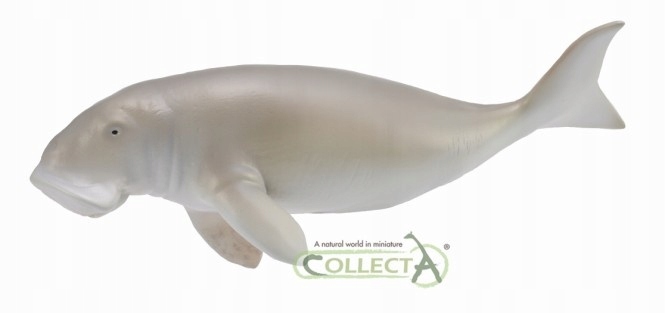 

Diugoń Przybrzeżny CollectA 88766 L