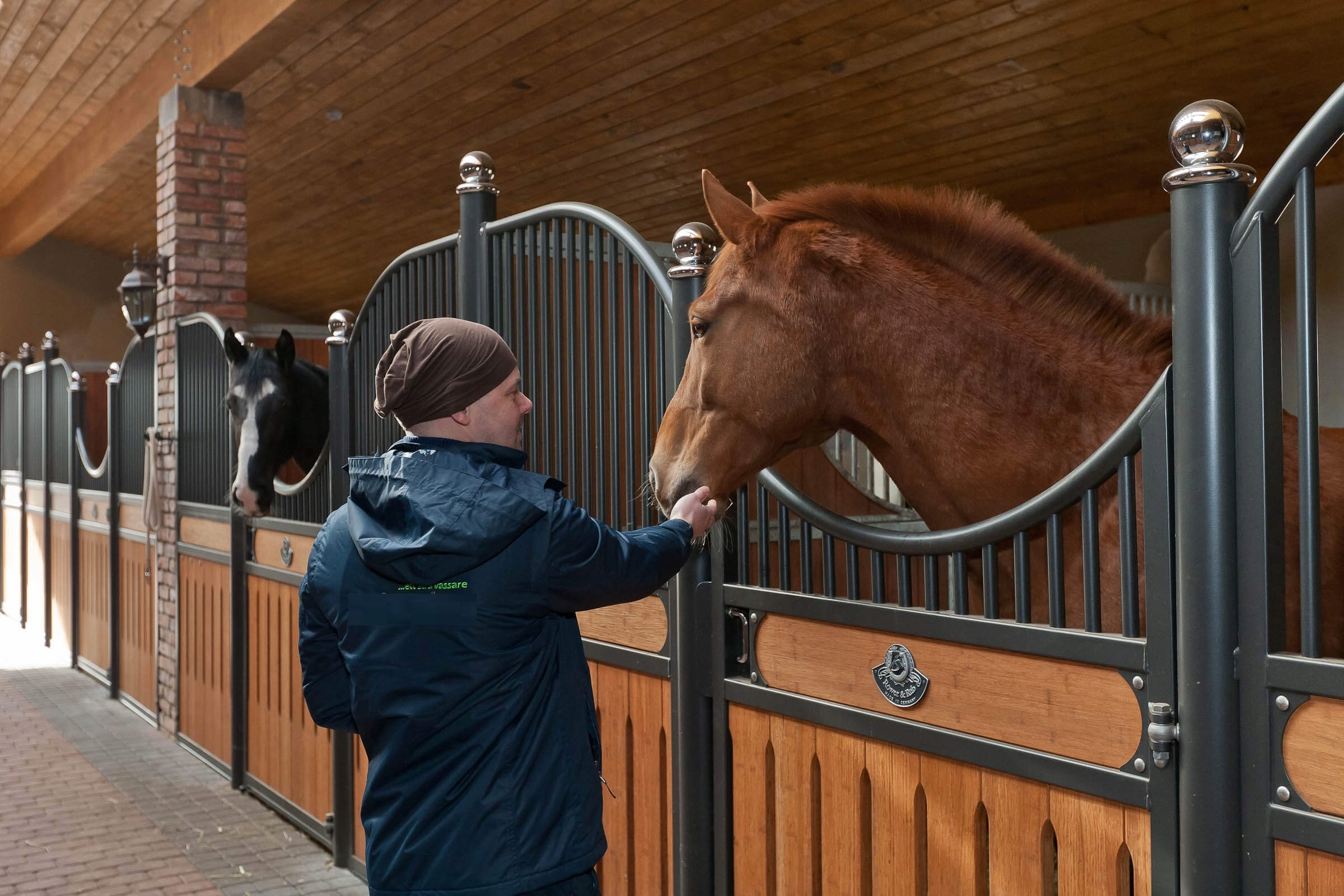 Olej Lniany dla koni NATURALNY Nazwa Olej lniany