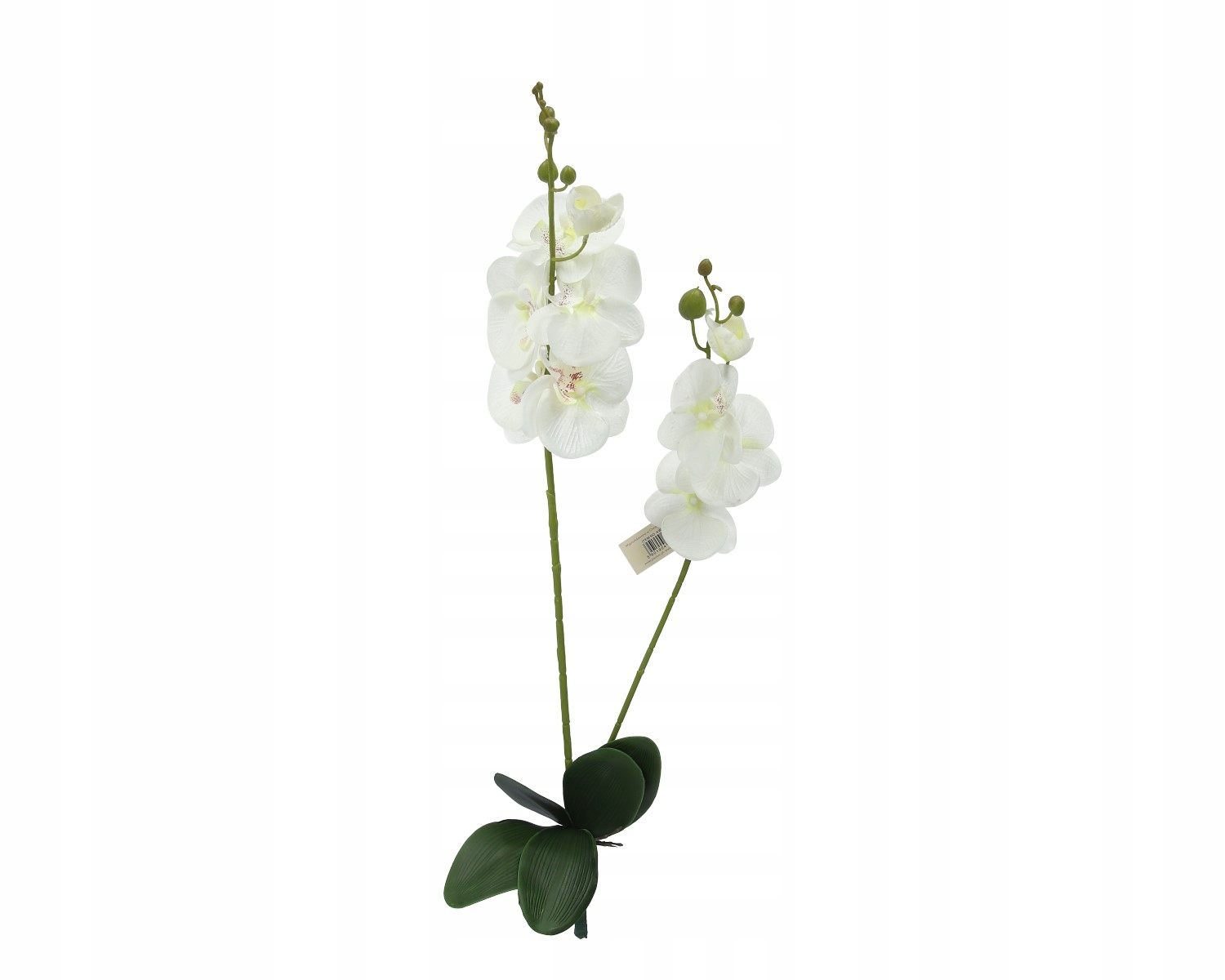 

Storczyk Orchidea Gałązka Jakość Biały 84CM