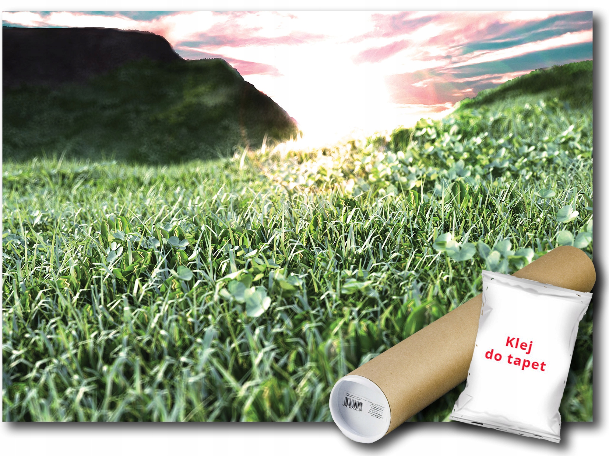 Fototapeta Horná Lúka Tráva 4A V8 368x254 F12130