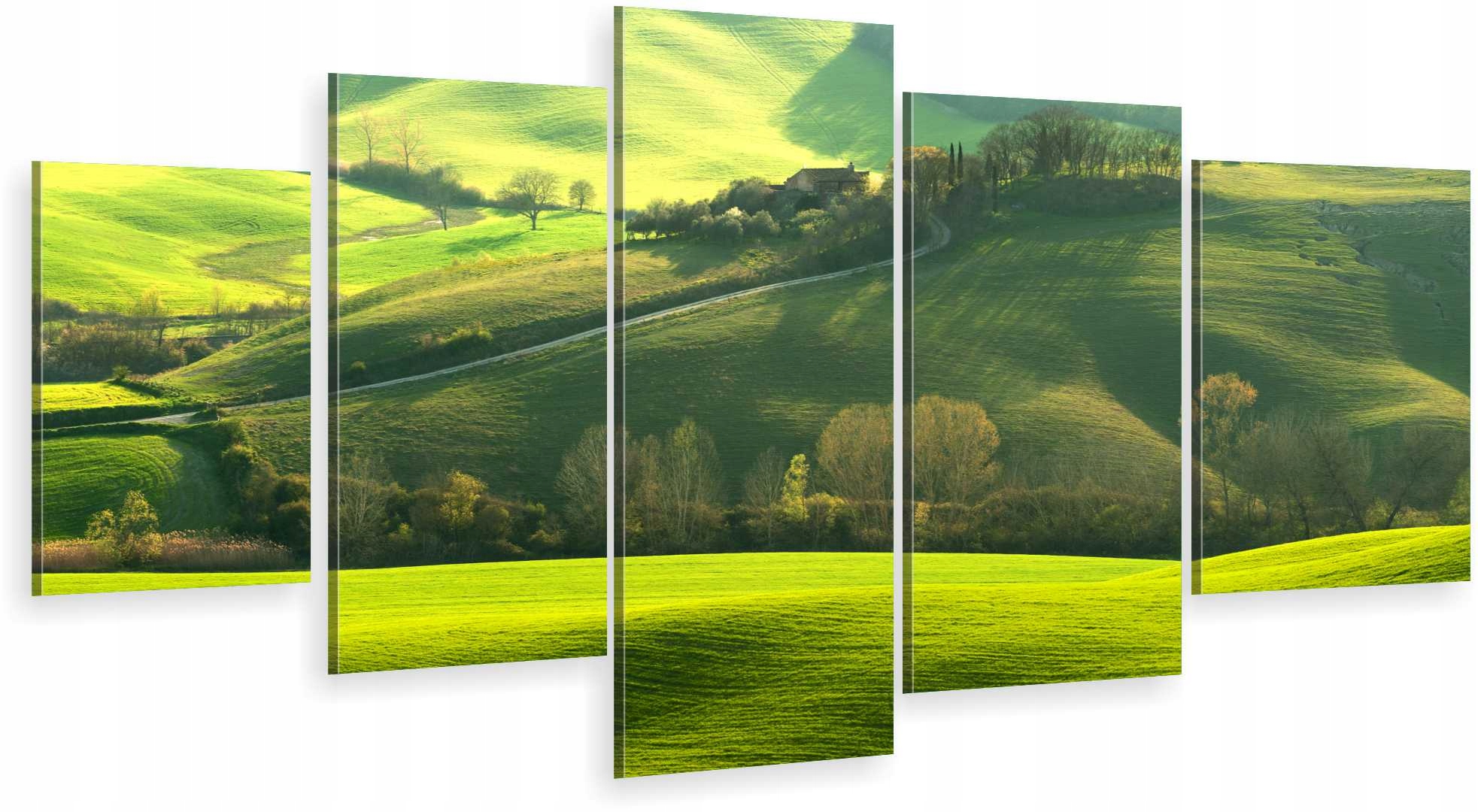 

Tryptyk 5-CZĘŚCI Obraz Toskania Zielone Pola Hit