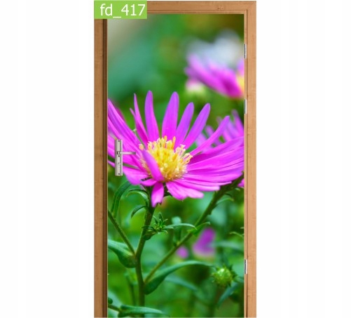 

Fototapeta Naklejka na drzwi Kwiat Kwiaty Flora
