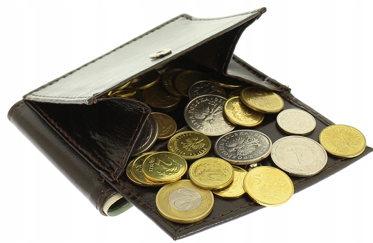 

sakiewka banknotówka, bilonówka skóra etui 3 kolor